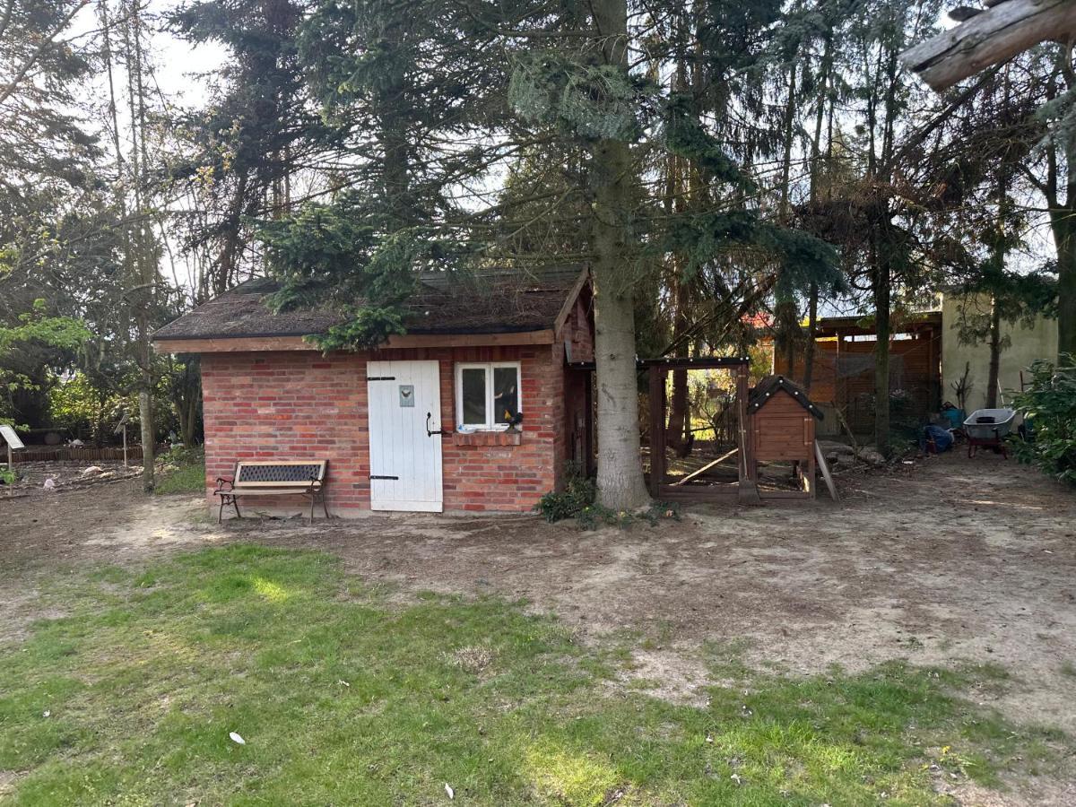 Linas Wohlfuehloase Hameln Lägenhet Hessisch Oldendorf Exteriör bild